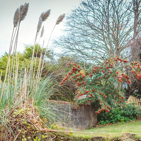 Ravelston Grange - stylish, spacious garden flat Torneo de Torneo de Eastbourne Exterior foto